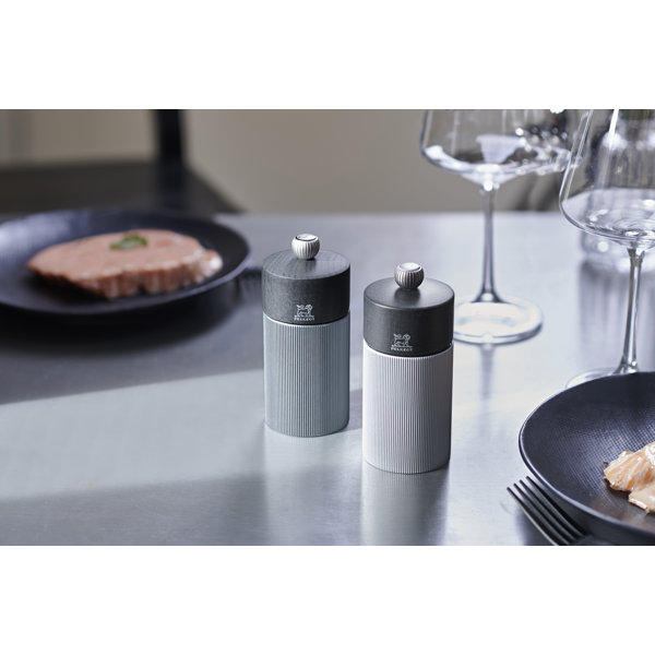 Peugeot Line Salt And Pepper Shaker Set Wayfair
